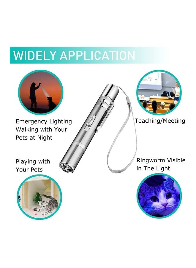 LED Laser Light Pointer Silver - Image 2